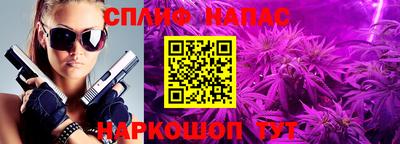 трава Славянск-на-Кубани