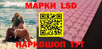 индика Сланцы