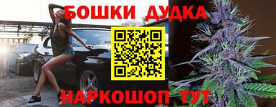 индика Сланцы