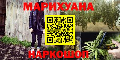 индика Сланцы