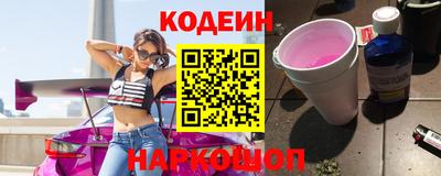 индика Сланцы