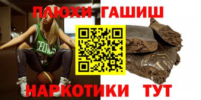 индика Сланцы