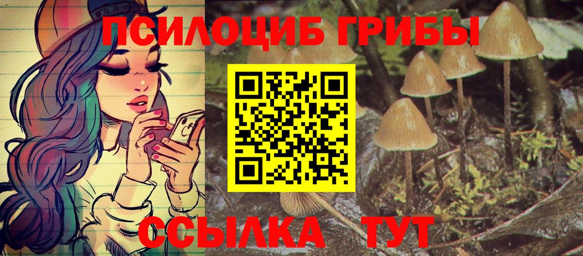 Псилоцибиновые грибы прущие грибы Новороссийск