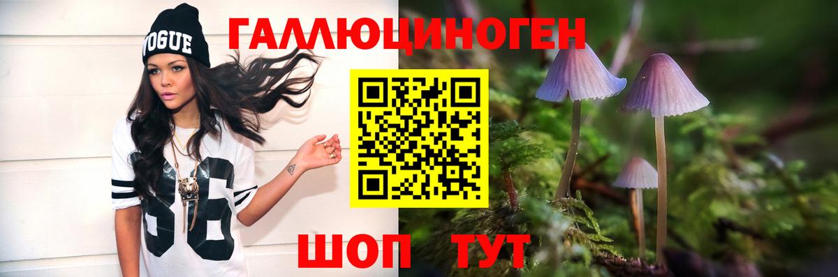 Новороссийск  Галлюциногенные грибы Psilocybine cubensis  Вход с VPN 